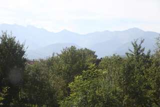 Виллы La Mosu Порумбаку-де-Сус Вилла-22