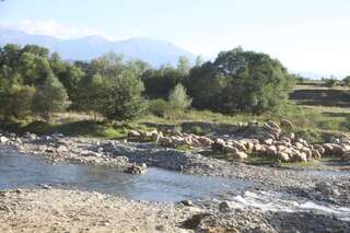 Виллы La Mosu Порумбаку-де-Сус Вилла-39