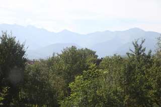 Виллы La Mosu Порумбаку-де-Сус Вилла-48